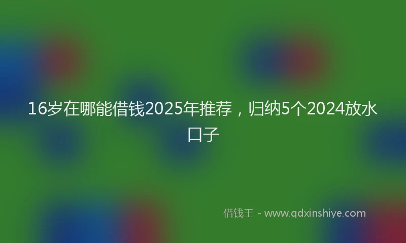 16岁在哪能借钱2025年推荐，归纳5个2024放水口子