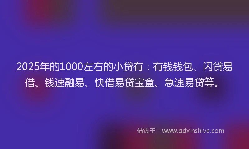 2025年的1000左右的小贷有：有钱钱包、闪贷易借、钱速融易、快借易贷宝盒、急速易贷等。
