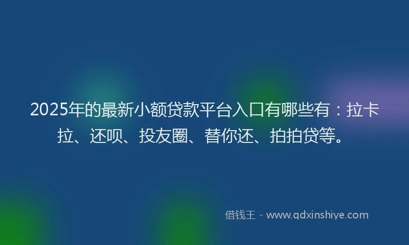 2025年的最新小额贷款平台入口有哪些有：拉卡拉、还呗、投友圈、替你还、拍拍贷等。