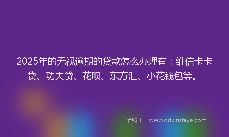 2025年的无视逾期的贷款怎么办理有：维信卡卡贷、功夫贷、花呗、东方汇、小花钱包等。