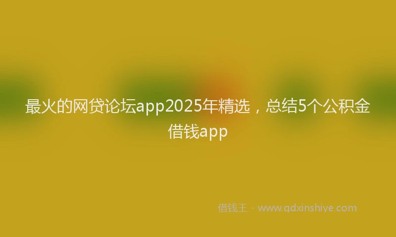 最火的网贷论坛app2025年精选，总结5个公积金借钱app