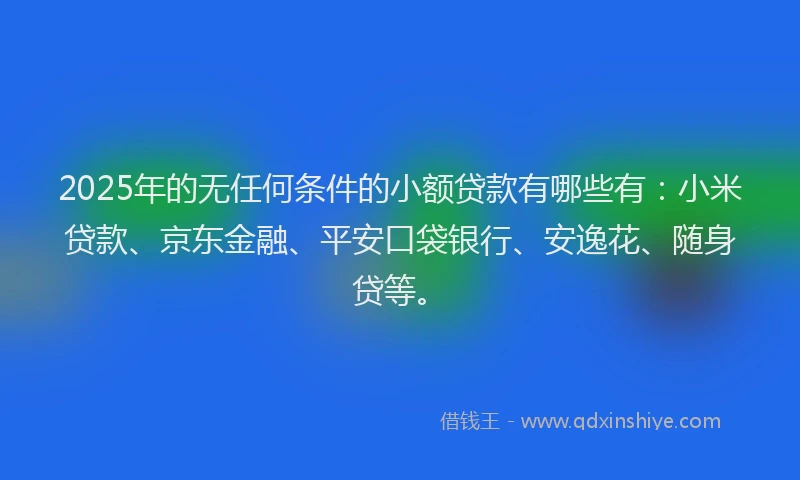 2025年的无任何条件的小额贷款有哪些有：小米贷款、京东金融、平安口袋银行、安逸花、随身贷等。