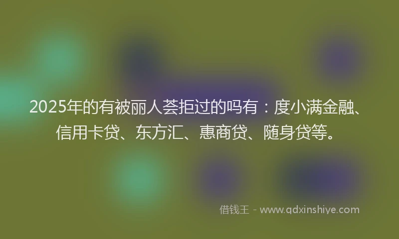 2025年的有被丽人荟拒过的吗有：度小满金融、信用卡贷、东方汇、惠商贷、随身贷等。