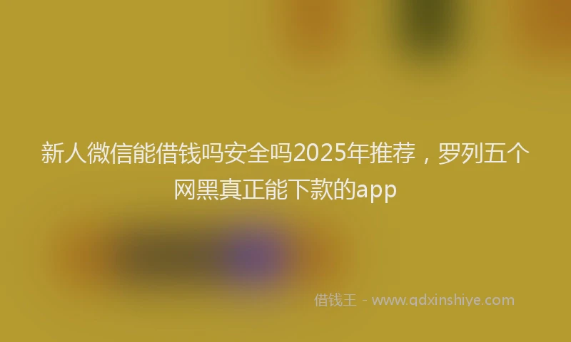 新人微信能借钱吗安全吗2025年推荐，罗列五个网黑真正能下款的app