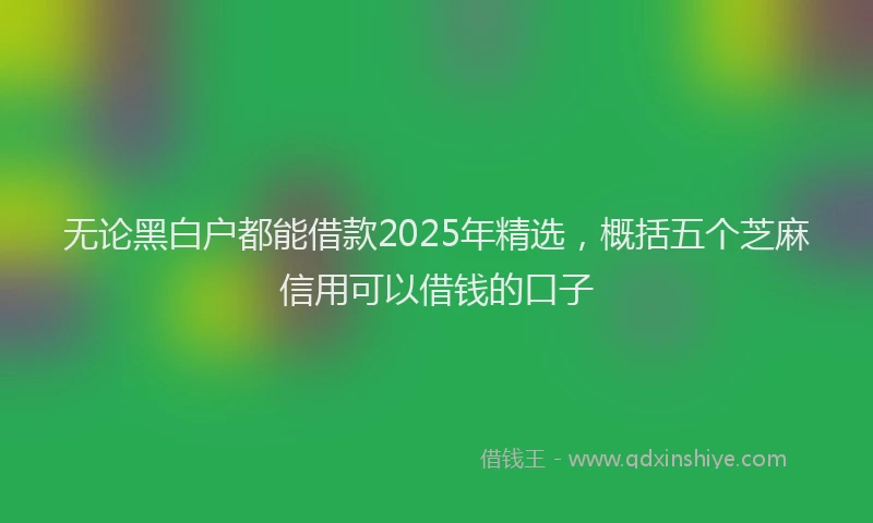 无论黑白户都能借款2025年精选，概括五个芝麻信用可以借钱的口子