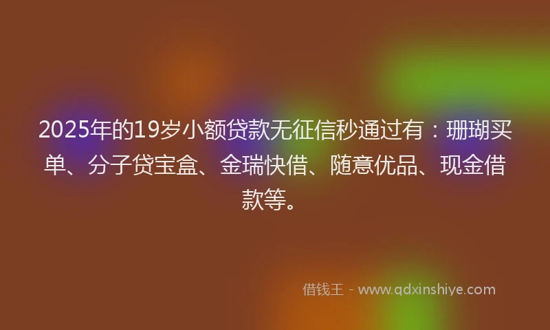 2025年的19岁小额贷款无征信秒通过有：珊瑚买单、分子贷宝盒、金瑞快借、随意优品、现金借款等。