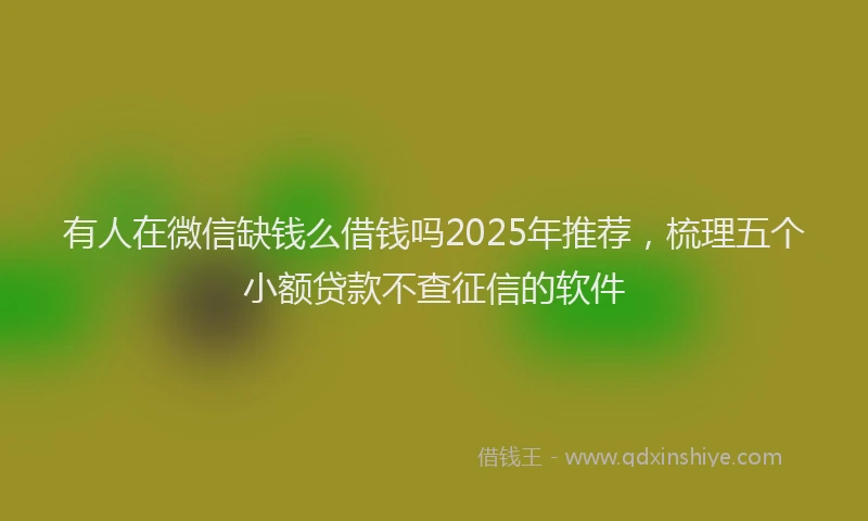 有人在微信缺钱么借钱吗2025年推荐，梳理五个小额贷款不查征信的软件