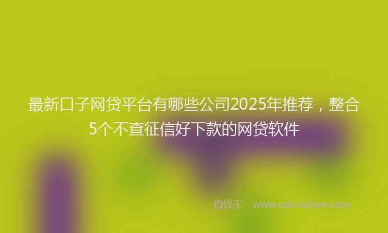 最新口子网贷平台有哪些公司2025年推荐，整合5个不查征信好下款的网贷软件
