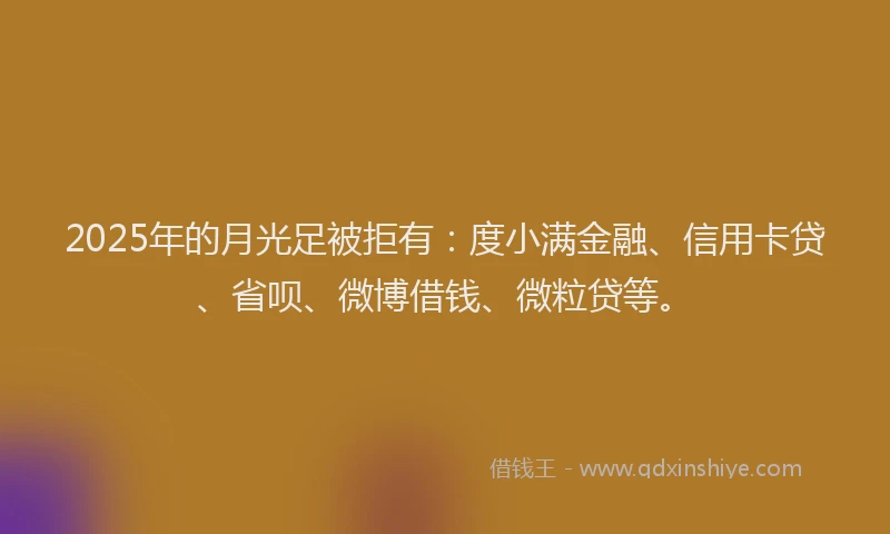 2025年的月光足被拒有：度小满金融、信用卡贷、省呗、微博借钱、微粒贷等。