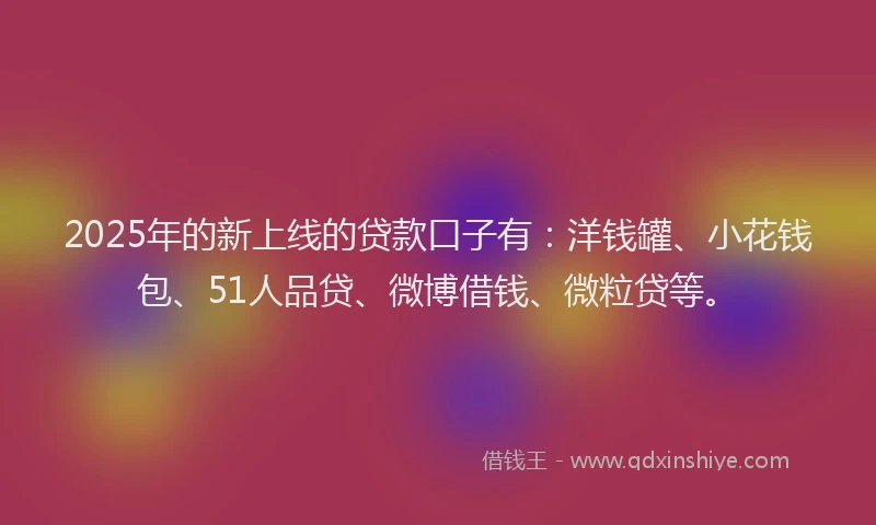 2025年的新上线的贷款口子有：洋钱罐、小花钱包、51人品贷、微博借钱、微粒贷等。