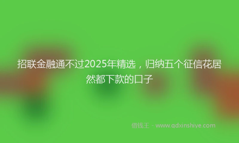 招联金融通不过2025年精选，归纳五个征信花居然都下款的口子