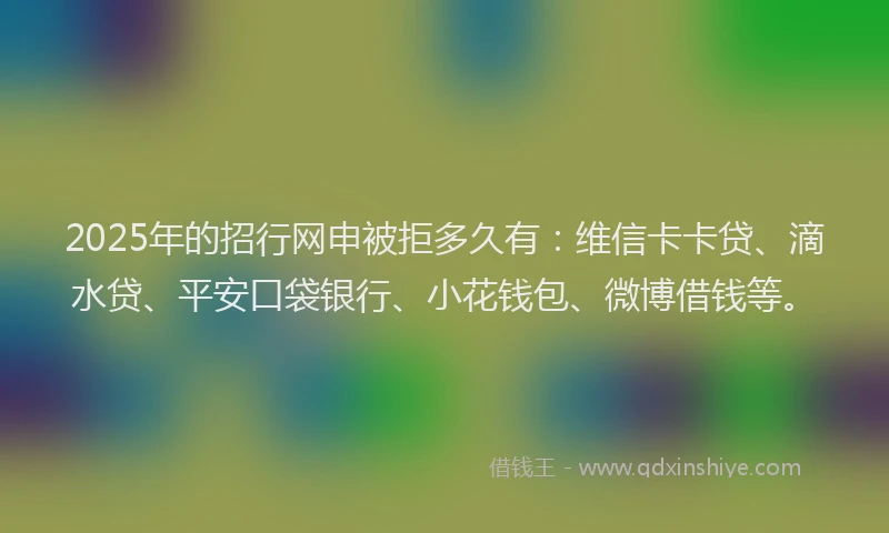 2025年的招行网申被拒多久有：维信卡卡贷、滴水贷、平安口袋银行、小花钱包、微博借钱等。