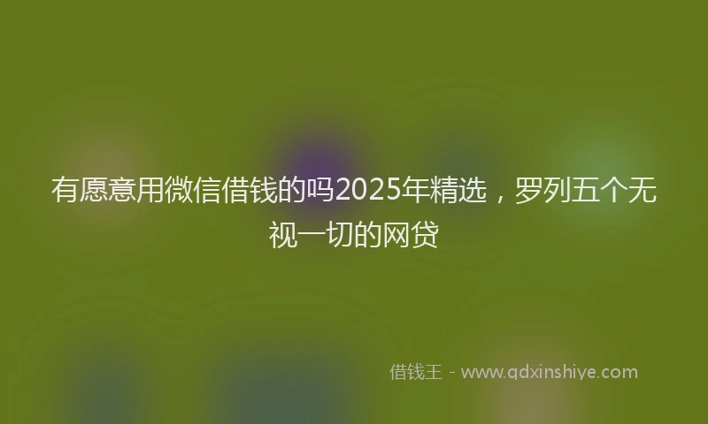 有愿意用微信借钱的吗2025年精选，罗列五个无视一切的网贷