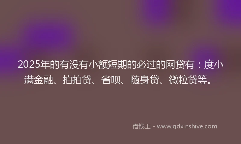 2025年的有没有小额短期的必过的网贷有:度小满金融、拍拍贷、省呗、随身贷、微粒贷等。
