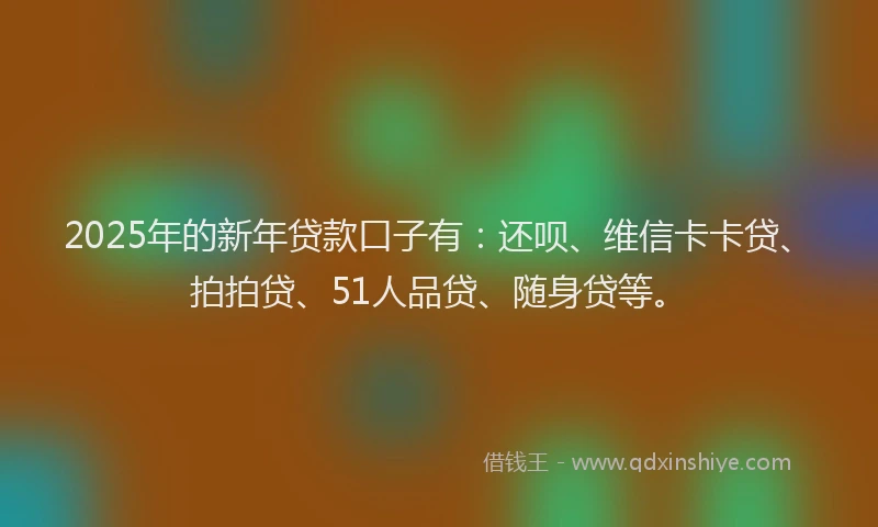 2025年的新年贷款口子有：还呗、维信卡卡贷、拍拍贷、51人品贷、随身贷等。