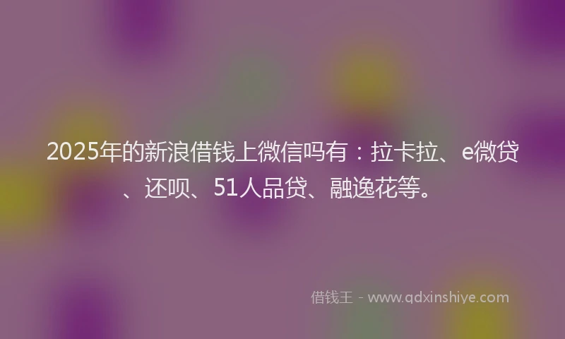 2025年的新浪借钱上微信吗有：拉卡拉、e微贷、还呗、51人品贷、融逸花等。