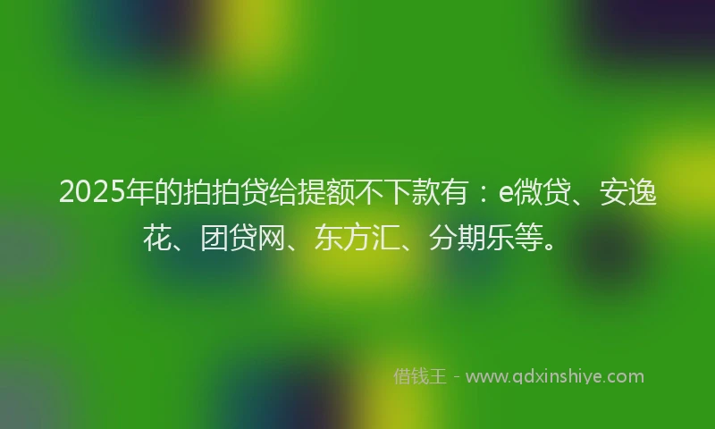 2025年的拍拍贷给提额不下款有：e微贷、安逸花、团贷网、东方汇、分期乐等。
