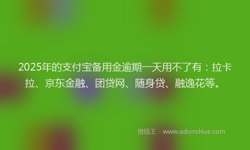 2025年的支付宝备用金逾期一天用不了有：拉卡拉、京东金融、团贷网、随身贷、融逸花等。