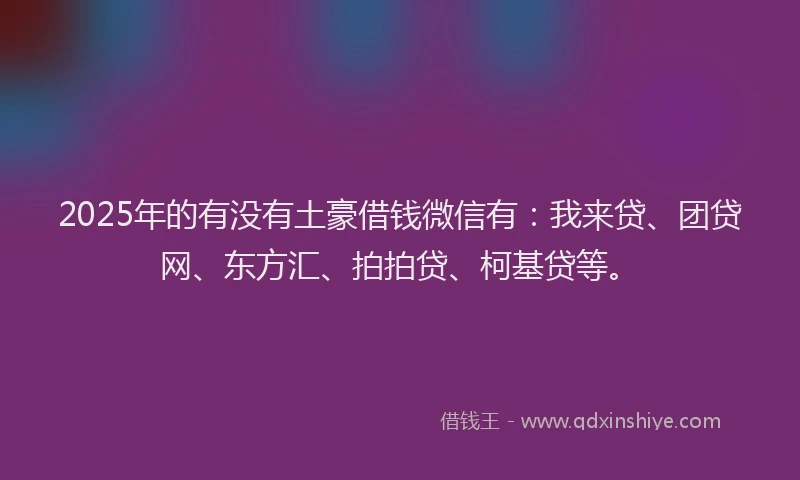 2025年的有没有土豪借钱微信有：我来贷、团贷网、东方汇、拍拍贷、柯基贷等。