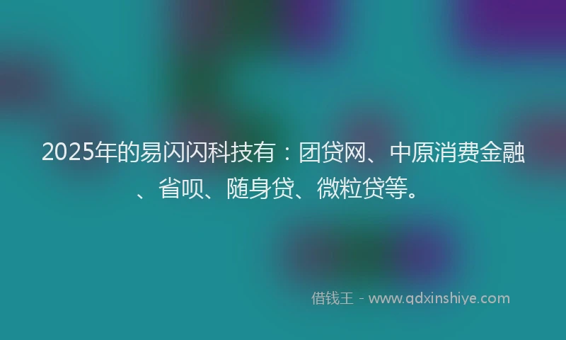 2025年的易闪闪科技有：团贷网、中原消费金融、省呗、随身贷、微粒贷等。