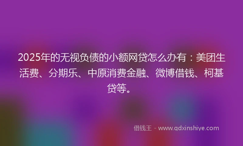 2025年的无视负债的小额网贷怎么办有：美团生活费、分期乐、中原消费金融、微博借钱、柯基贷等。