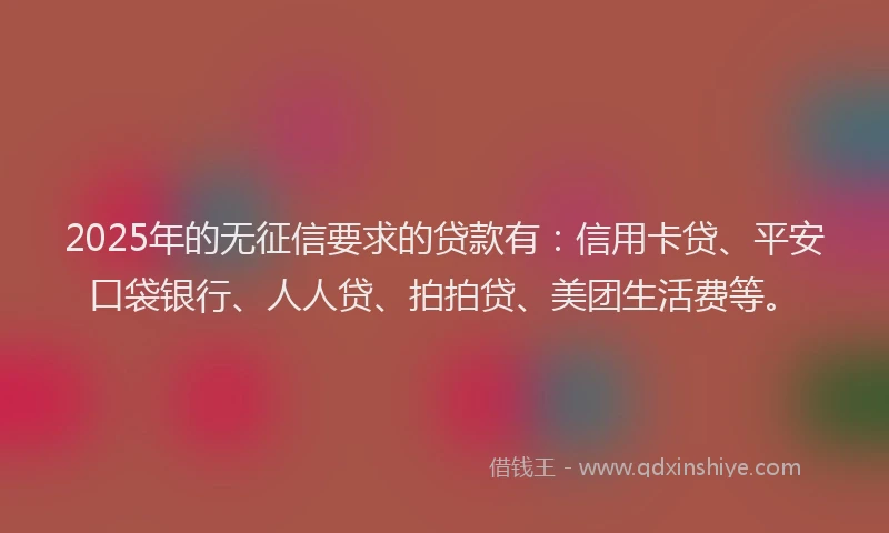 2025年的无征信要求的贷款有：信用卡贷、平安口袋银行、人人贷、拍拍贷、美团生活费等。