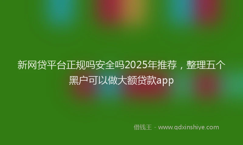 新网贷平台正规吗安全吗2025年推荐，整理五个黑户可以做大额贷款app