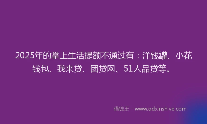 2025年的掌上生活提额不通过有：洋钱罐、小花钱包、我来贷、团贷网、51人品贷等。