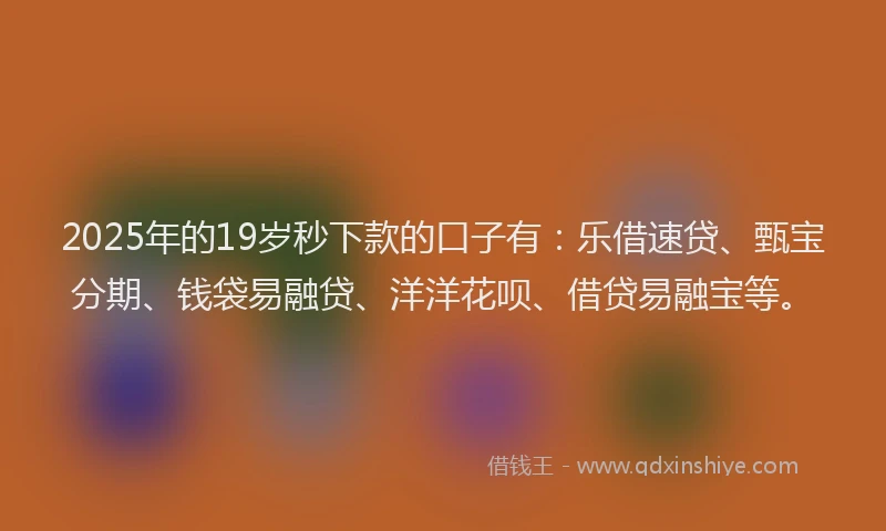 2025年的19岁秒下款的口子有：乐借速贷、甄宝分期、钱袋易融贷、洋洋花呗、借贷易融宝等。