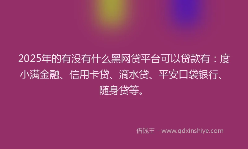 2025年的有没有什么黑网贷平台可以贷款有：度小满金融、信用卡贷、滴水贷、平安口袋银行、随身贷等。