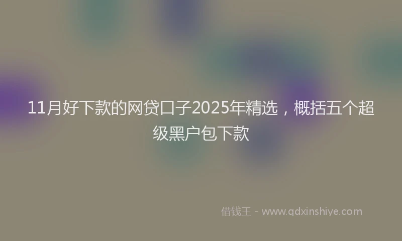 11月好下款的网贷口子2025年精选，概括五个超级黑户包下款