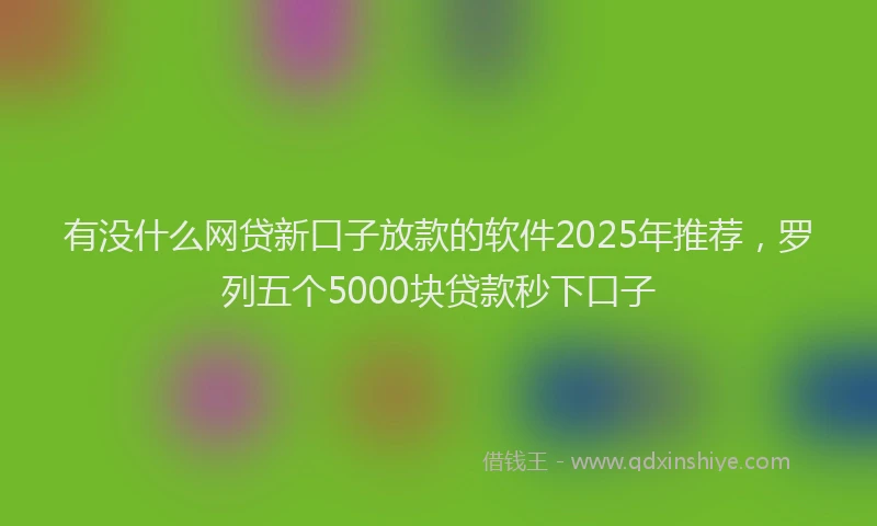 有没什么网贷新口子放款的软件2025年推荐，罗列五个5000块贷款秒下口子