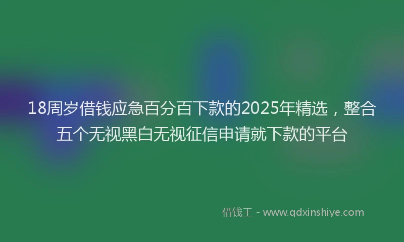 18周岁借钱应急百分百下款的2025年精选，整合五个无视黑白无视征信申请就下款的平台