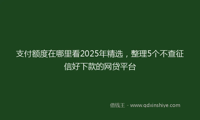 支付额度在哪里看2025年精选，整理5个不查征信好下款的网贷平台