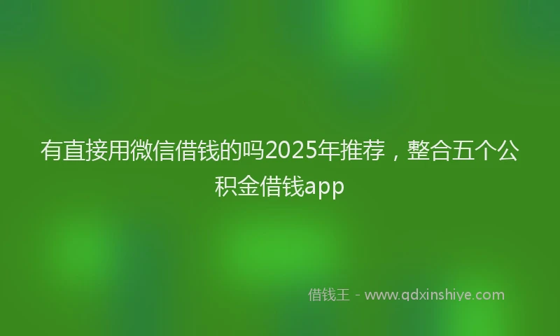 有直接用微信借钱的吗2025年推荐，整合五个公积金借钱app