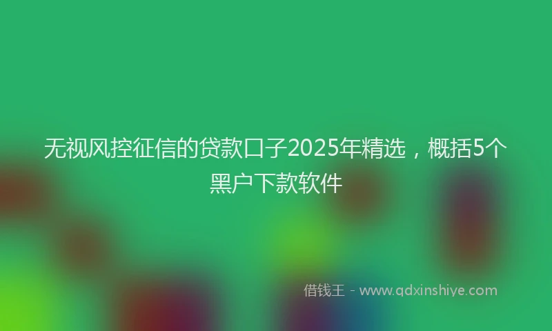 无视风控征信的贷款口子2025年精选，概括5个黑户下款软件