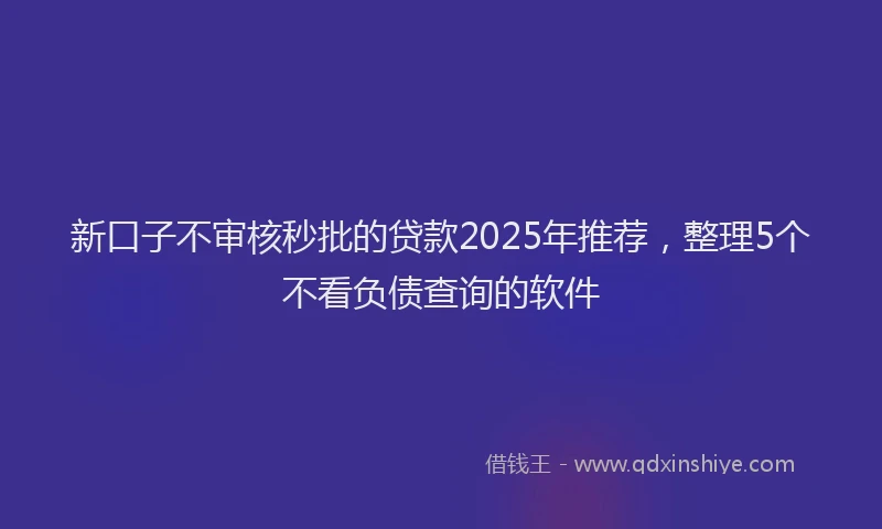 新口子不审核秒批的贷款2025年推荐，整理5个不看负债查询的软件