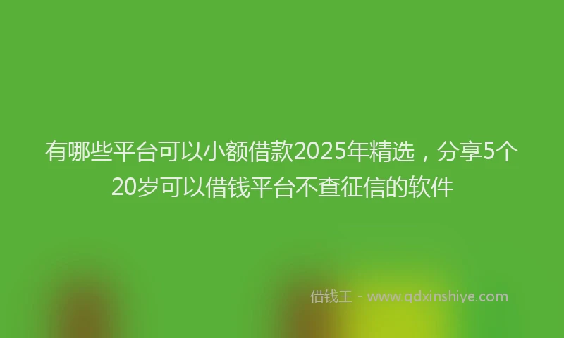 有哪些平台可以小额借款2025年精选，分享5个20岁可以借钱平台不查征信的软件