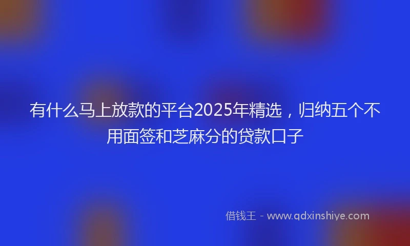 有什么马上放款的平台2025年精选，归纳五个不用面签和芝麻分的贷款口子