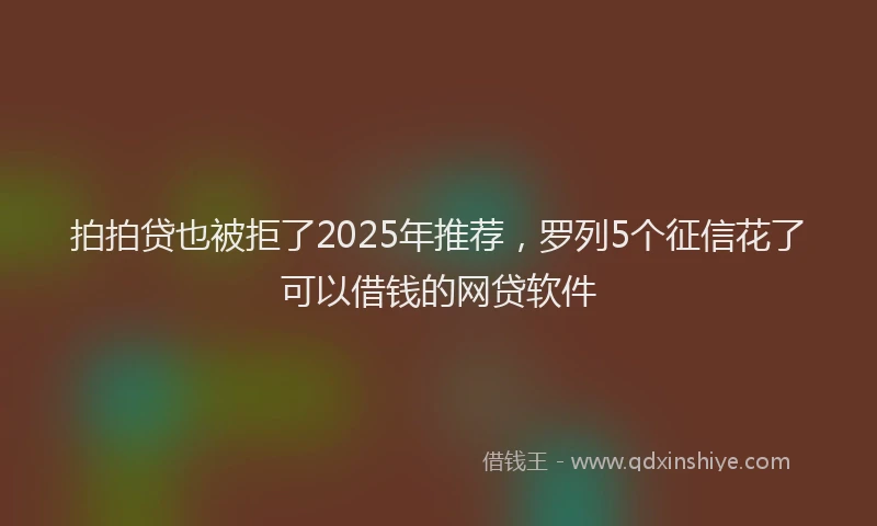 拍拍贷也被拒了2025年推荐，罗列5个征信花了可以借钱的网贷软件