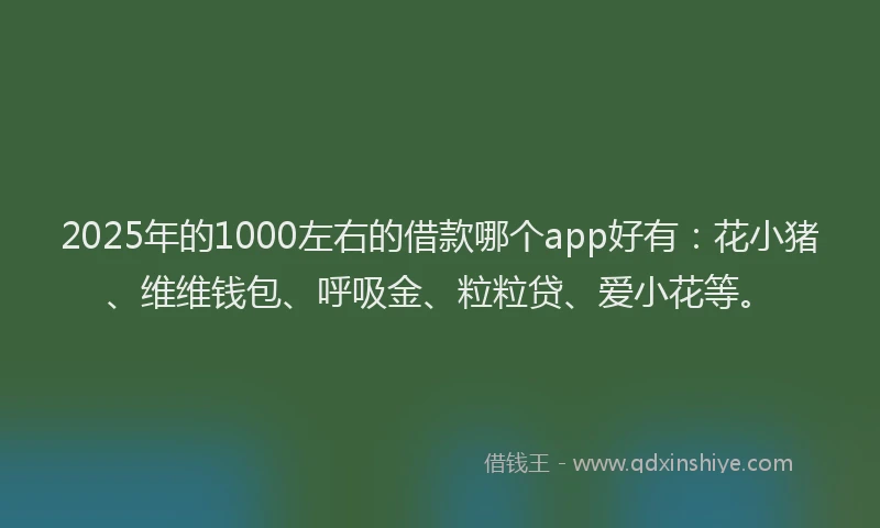 2025年的1000左右的借款哪个app好有：花小猪、维维钱包、呼吸金、粒粒贷、爱小花等。