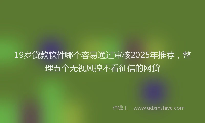 19岁贷款软件哪个容易通过审核2025年推荐，整理五个无视风控不看征信的网贷