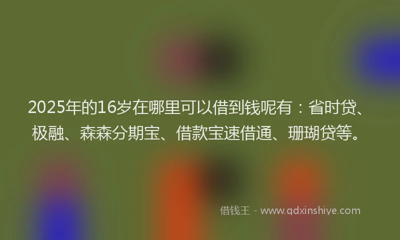 2025年的16岁在哪里可以借到钱呢有：省时贷、极融、森森分期宝、借款宝速借通、珊瑚贷等。
