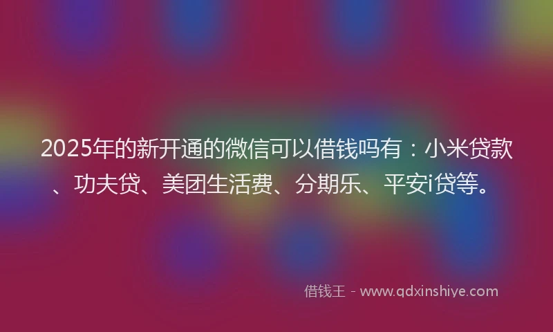 2025年的新开通的微信可以借钱吗有：小米贷款、功夫贷、美团生活费、分期乐、平安i贷等。