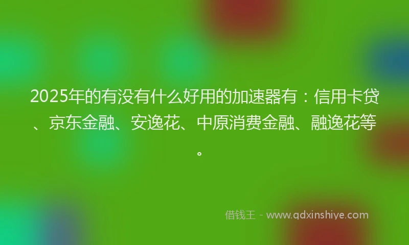 2025年的有没有什么好用的加速器有：信用卡贷、京东金融、安逸花、中原消费金融、融逸花等。