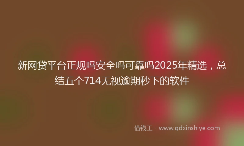 新网贷平台正规吗安全吗可靠吗2025年精选，总结五个714无视逾期秒下的软件