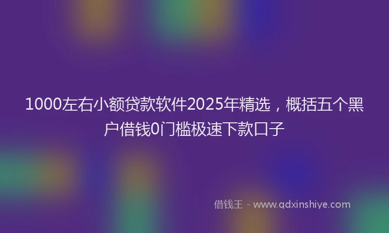 1000左右小额贷款软件2025年精选，概括五个黑户借钱0门槛极速下款口子