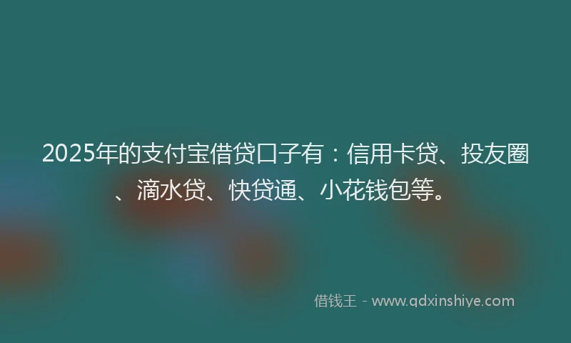 2025年的支付宝借贷口子有：信用卡贷、投友圈、滴水贷、快贷通、小花钱包等。