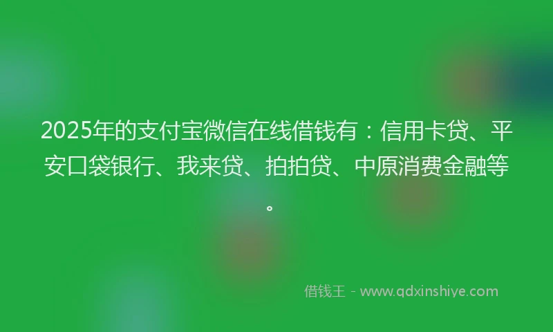 2025年的支付宝微信在线借钱有：信用卡贷、平安口袋银行、我来贷、拍拍贷、中原消费金融等。