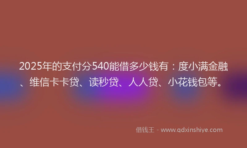 2025年的支付分540能借多少钱有：度小满金融、维信卡卡贷、读秒贷、人人贷、小花钱包等。